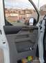 Ford Transit Custom Transit Custom Van 280 L1 Trend 110 Trend Blanco - thumbnail 12