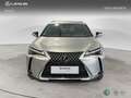 Lexus UX 300h + 4x2 + Grau - thumbnail 5