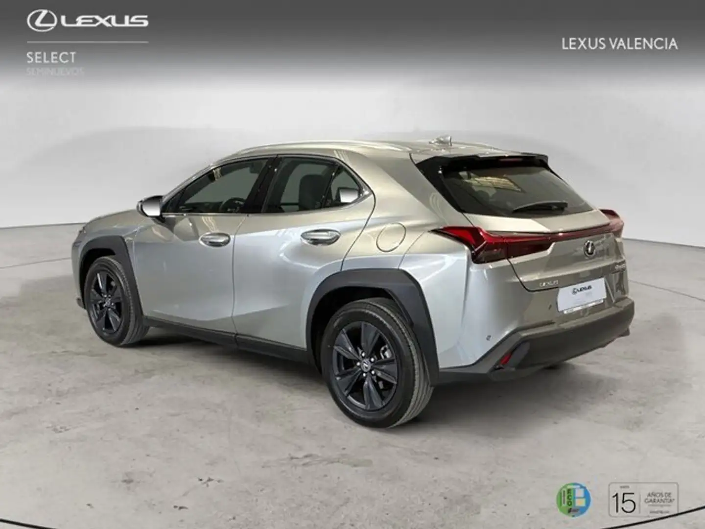 Lexus UX 300h + 4x2 + Grau - 2