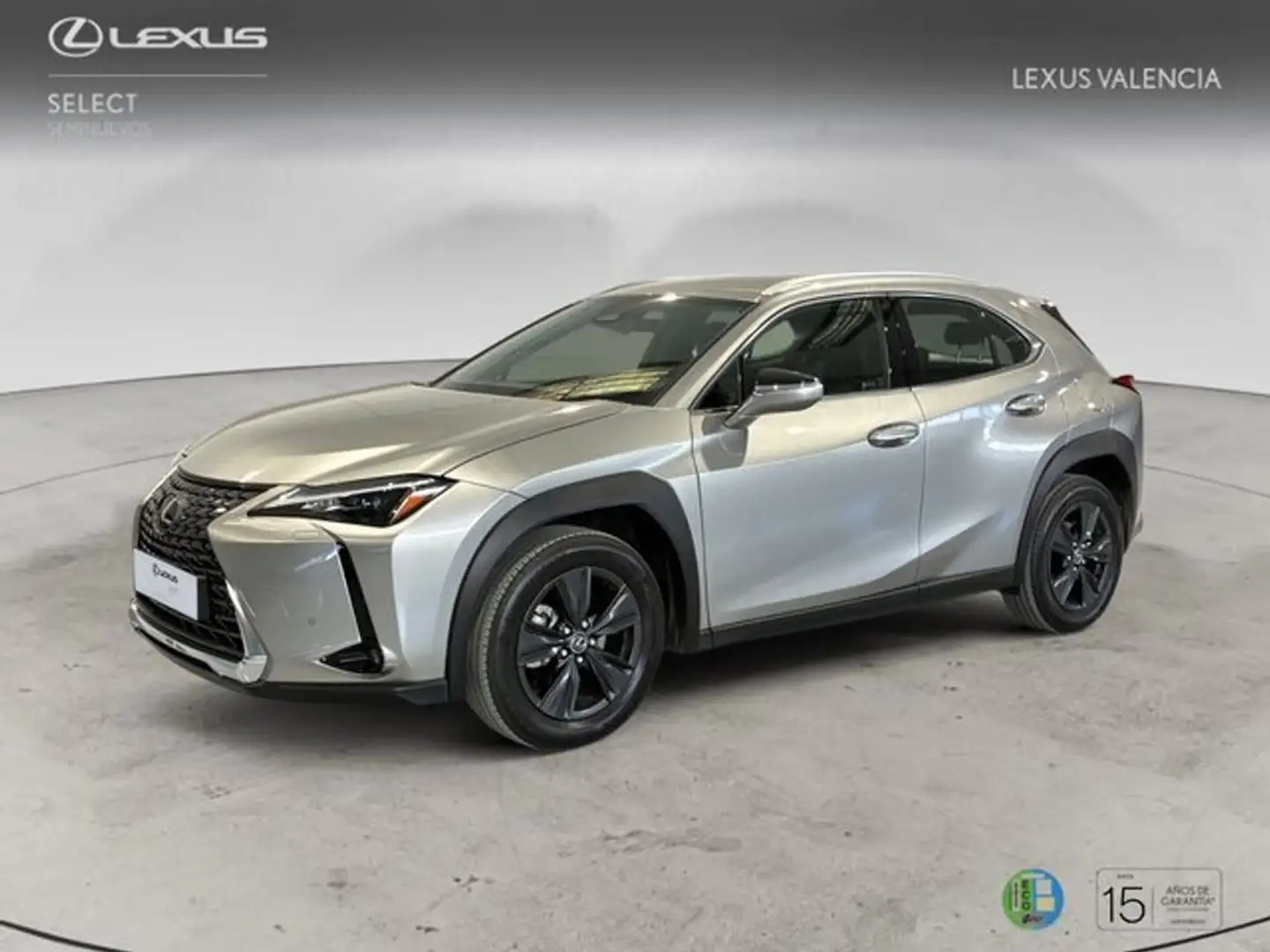 Lexus UX 300h + 4x2 + Grau - 1