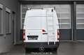 Renault Master 3,5t dCi 135 L2H2 Pickerl NEU Weiß - thumbnail 4