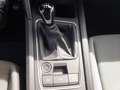 SEAT Leon Style 1.5 TSI Navi SHZ Voll-LED FAP M PDC Schwarz - thumbnail 20