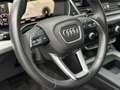 Audi Q5 50 TDI S-tr. quattro 1.HA/ACC/AHK/R-CAM/20LM Schwarz - thumbnail 16