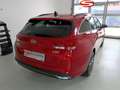 Hyundai i30 Kombi-PD GO Plus 1,5 TGDI 48V PP OO1 OO2 Rot - thumbnail 5