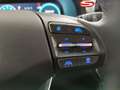 Hyundai i30 Kombi-PD GO Plus 1,5 TGDI 48V PP OO1 OO2 Rot - thumbnail 17