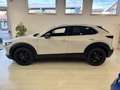 Mazda CX-30 CX-30 2.5 m-hybrid Advantage 140cv Grau - thumbnail 14