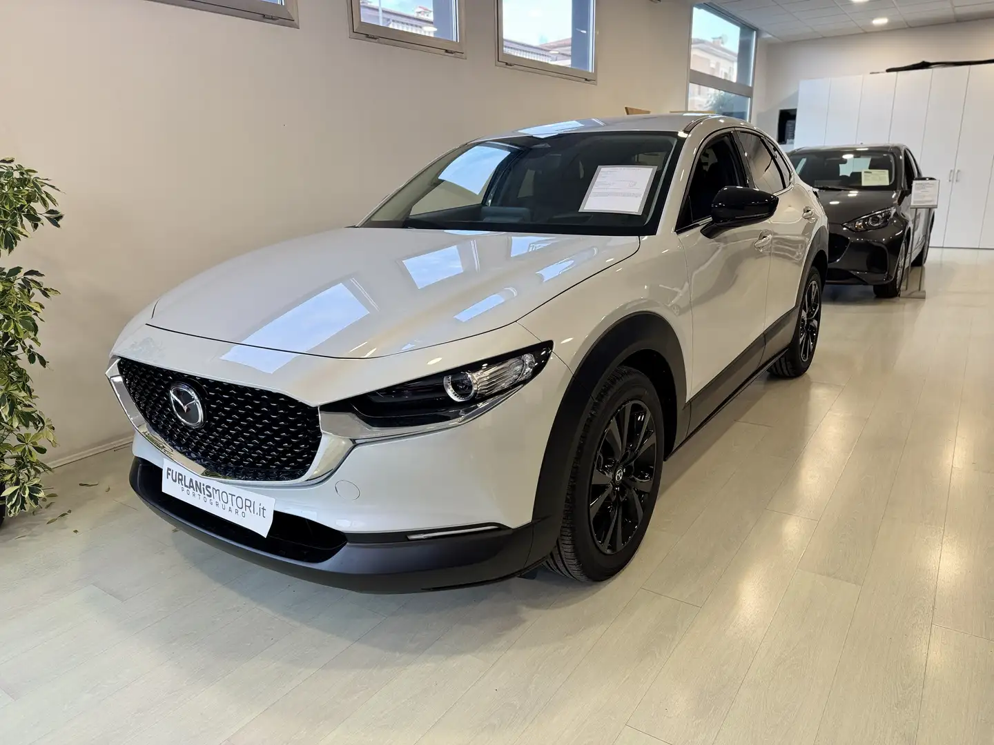 Mazda CX-30 CX-30 2.5 m-hybrid Advantage 140cv Grau - 1