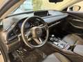 Mazda CX-30 CX-30 2.5 m-hybrid Advantage 140cv Grau - thumbnail 9