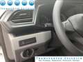 Volkswagen T6 Kombi 9Sitze 2xKlima GRA Klappe AHK Weiß - thumbnail 18