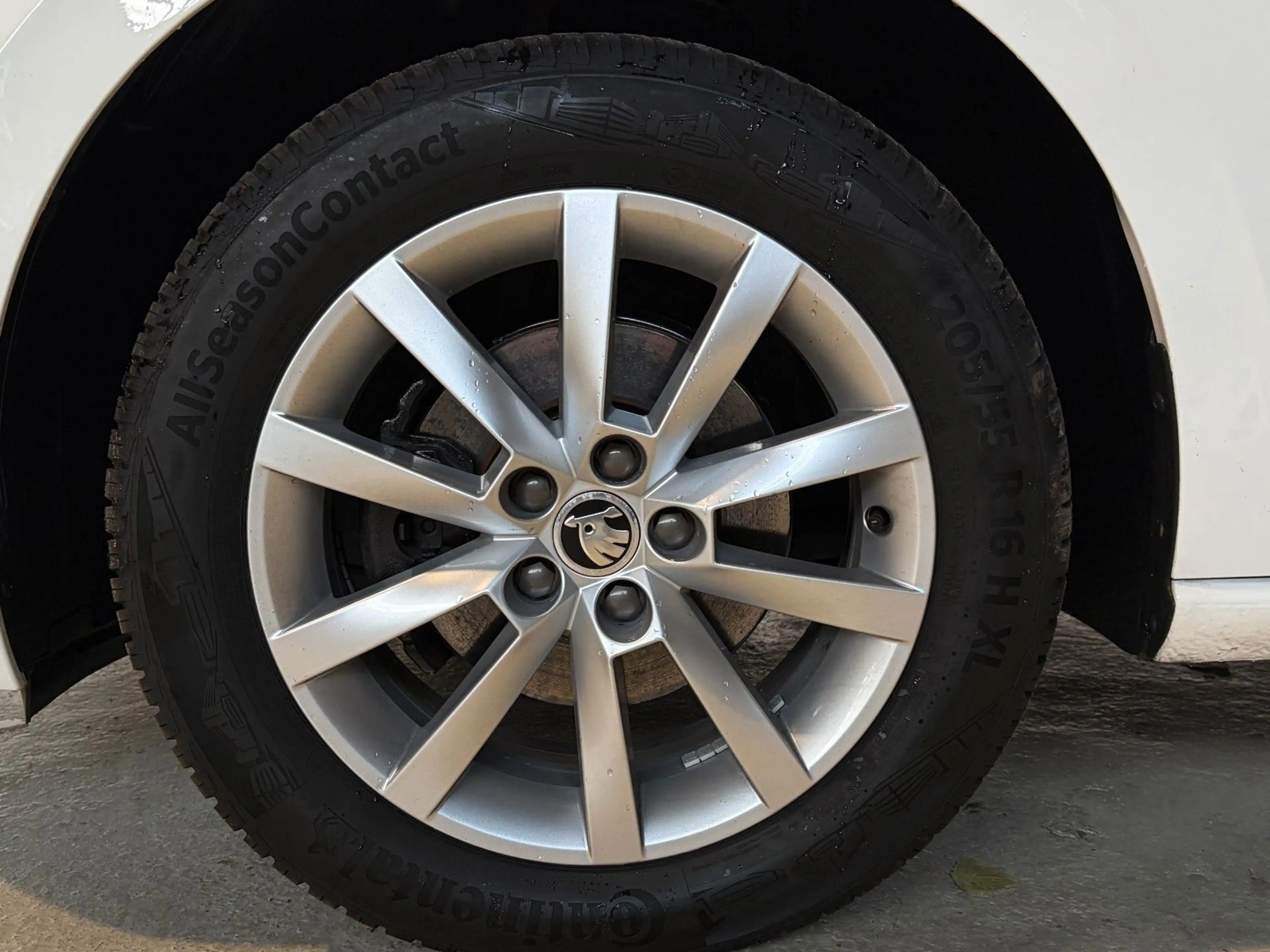 Skoda Scala Ambition 1.0 — photo 14