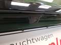 Audi SQ5 3.0 TDI quattro Matrix AHK RFK SHZ Navi Grün - thumbnail 16
