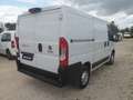 Fiat Ducato furgone tetto basso Bianco - thumbnail 4