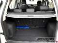 Ford EcoSport 1.0 ecoboost 125cv Wit - thumbnail 22