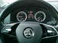 Skoda Karoq Karoq 2,0 TDI SCR 4x4 Style SC DSG Style SC Grau - thumbnail 10