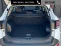 Kia Sportage 1.6 CRDi MHEV DCT Business Weiß - thumbnail 13