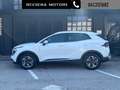 Kia Sportage 1.6 CRDi MHEV DCT Business Weiß - thumbnail 2