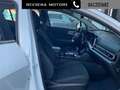 Kia Sportage 1.6 CRDi MHEV DCT Business Weiß - thumbnail 10