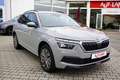 Skoda Kamiq 1.0 Clever VC LED Navi SmartLink Kamera Gris - thumbnail 4