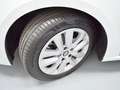 Renault Megane S.T. 1.5dCi Blue Equilibre 85kW Blanco - thumbnail 42