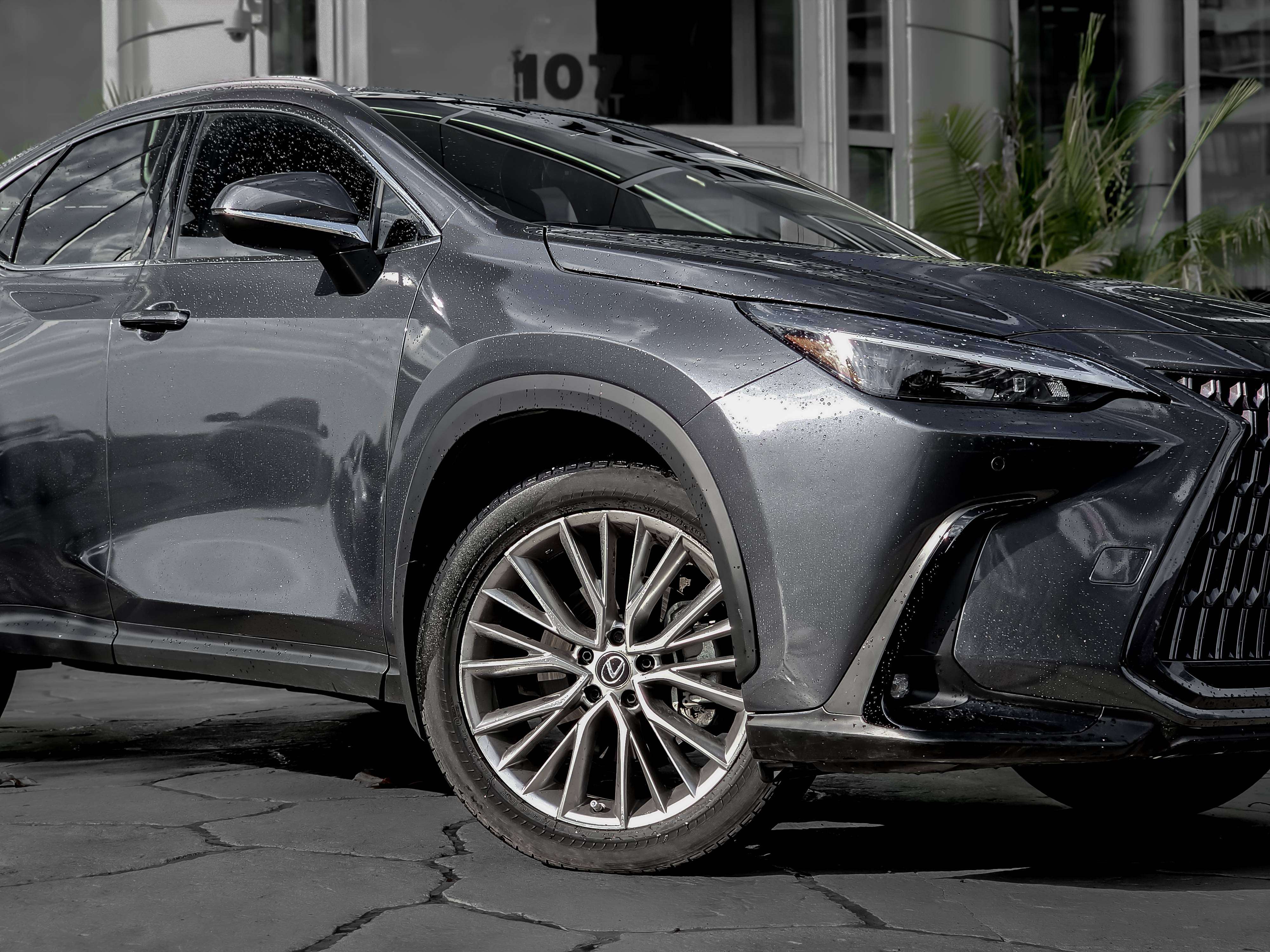 2023 Lexus NX