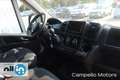 Fiat Ducato Ducato 33 MH2 2.2 Mjt 140cv Combinato 9p E6D Bianco - thumbnail 14
