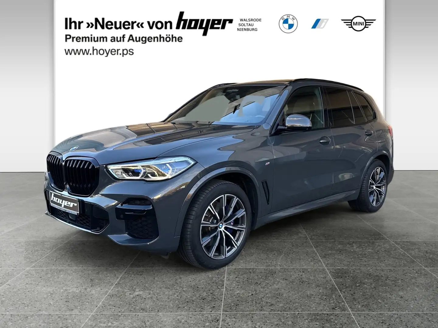 BMW X5 xDrive30d M Sportpaket Head-Up HiFi DAB WLAN Grijs - 1