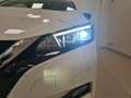Nissan Leaf Visia Plus 40Kwh Weiß - thumbnail 10