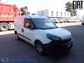 Fiat Doblo CARGO ISOTERMICO Bianco - thumbnail 3