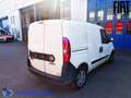 Fiat Doblo CARGO ISOTERMICO Weiß - thumbnail 4
