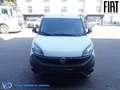 Fiat Doblo CARGO ISOTERMICO Weiß - thumbnail 2