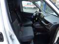 Fiat Doblo CARGO ISOTERMICO Bianco - thumbnail 12