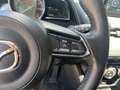 Mazda CX-3 Revolution Grau - thumbnail 17