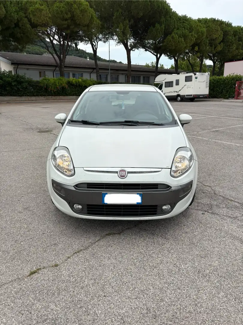 Fiat Punto Evo Fiat Punto Evo GPL 1.4 fire NEOPATENTATI - 2