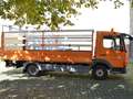 Mercedes-Benz Atego 2 816 Pritsche mit Spriegel & Ladebordwand Orange - thumbnail 4