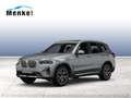 BMW X3 xDrive30d M Sportpaket Head-Up HK HiFi DAB Grau - thumbnail 1