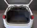 Volkswagen Golf Variant 1.6TDI CR BMT Sport 105 Blanco - thumbnail 10