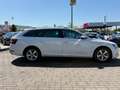 Skoda Superb Combi Style 4x4/Pano/Navi/Kamera/AHK Weiß - thumbnail 6