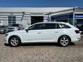 Skoda Superb Combi Style 4x4/Pano/Navi/Kamera/AHK Weiß - thumbnail 2