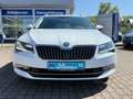 Skoda Superb Combi Style 4x4/Pano/Navi/Kamera/AHK Weiß - thumbnail 8