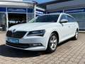 Skoda Superb Combi Style 4x4/Pano/Navi/Kamera/AHK Weiß - thumbnail 1