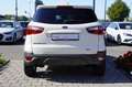 Ford EcoSport 1.0 EcoBoost Klimaaut. Sitzheizung PDC Weiß - thumbnail 8