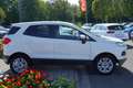 Ford EcoSport 1.0 EcoBoost Klimaaut. Sitzheizung PDC Weiß - thumbnail 6