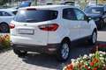 Ford EcoSport 1.0 EcoBoost Klimaaut. Sitzheizung PDC Weiß - thumbnail 7