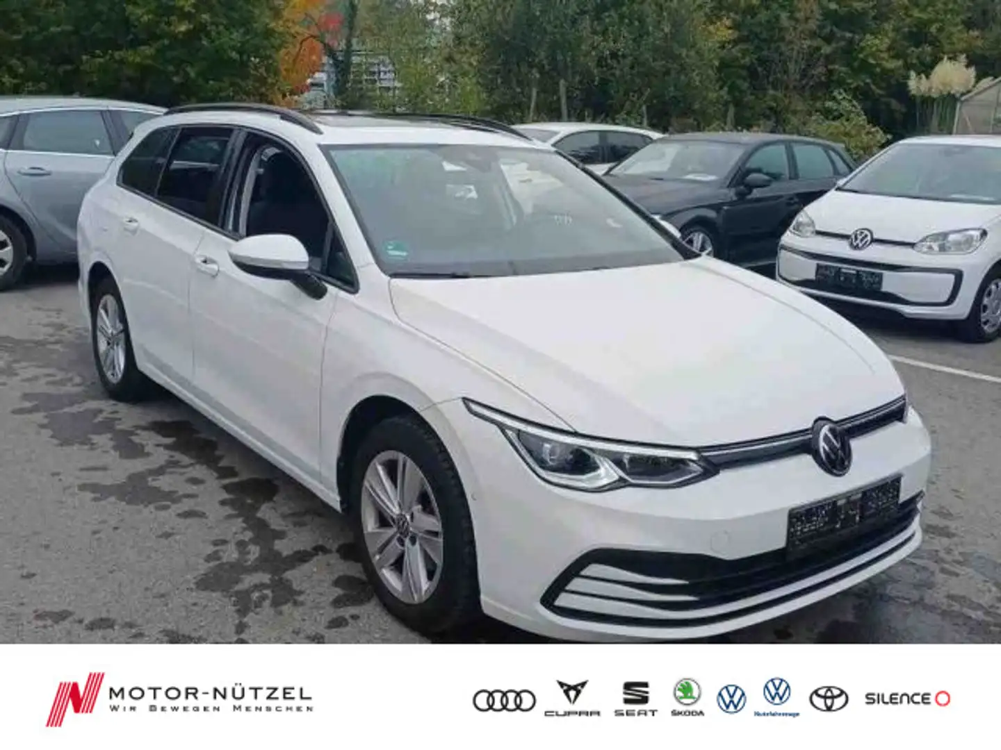 Volkswagen Golf Variant Golf VIII Variant 1.5 eTSI DSG IQ+NAVI+AHK+PANO Weiß - 1