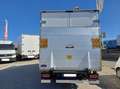 Iveco Daily Chasis Cabina 35C16 3750 156 Weiß - thumbnail 4