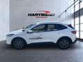 Ford Kuga Cool & Connect Bluetooth Navi Klima Wit - thumbnail 5