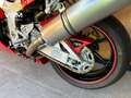 Honda VTR 1000 SP 1 Rojo - thumbnail 15