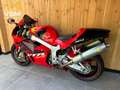 Honda VTR 1000 SP 1 Rojo - thumbnail 6
