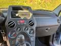 Fiat Panda Panda 1.2 Dynamic - CINGHIA NUOVA Blauw - thumbnail 19