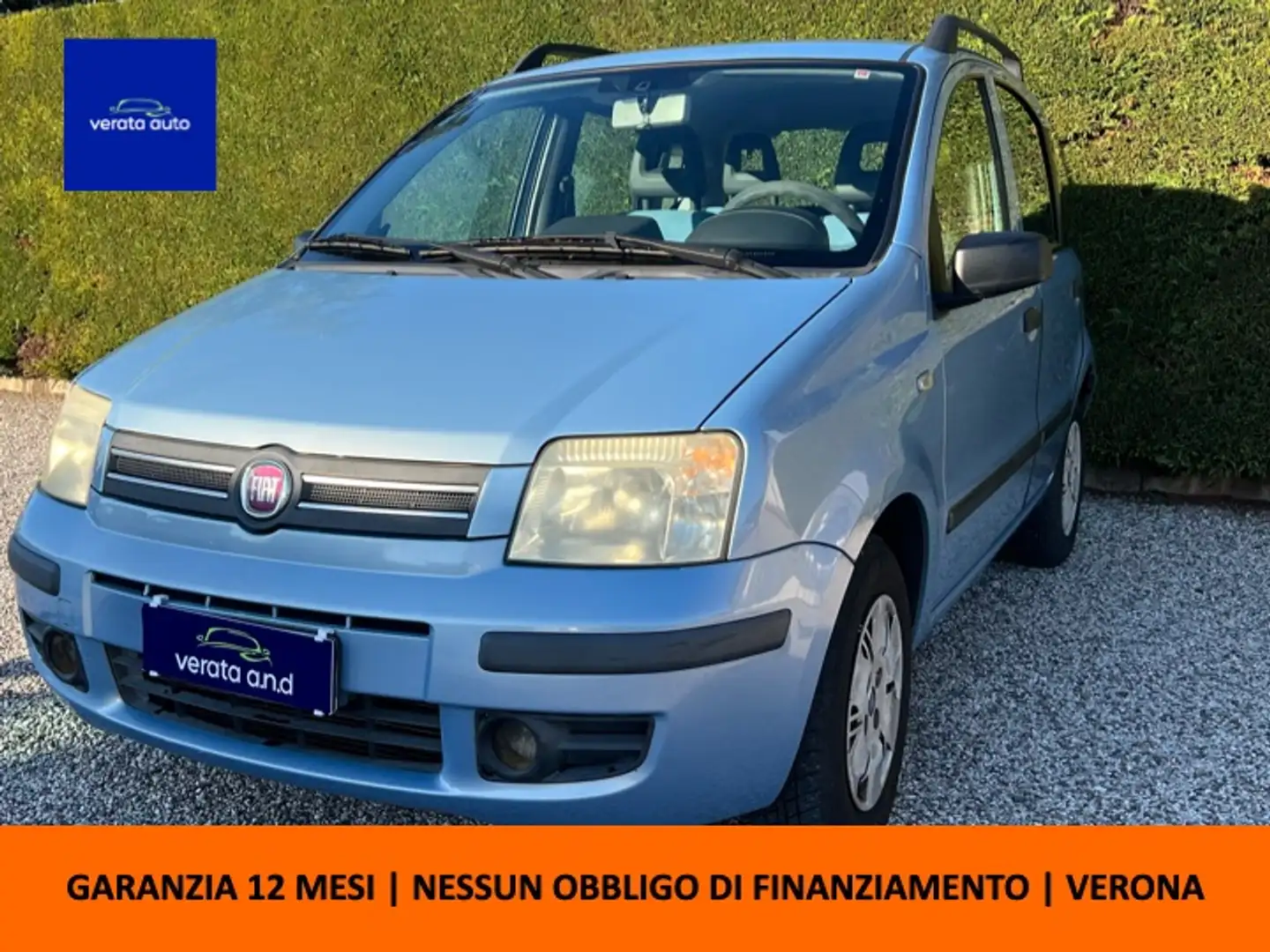 Fiat Panda Panda 1.2 Dynamic - CINGHIA NUOVA Bleu - 1